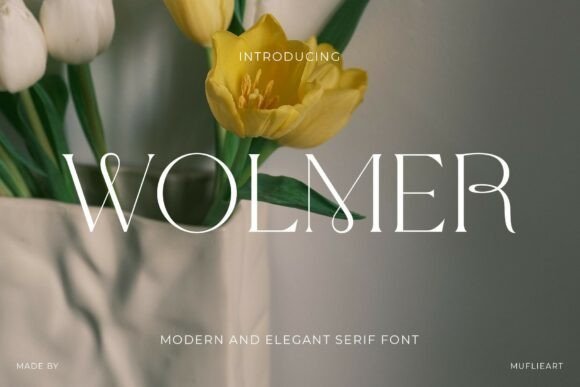 Wolmer: The Serif Font That Blends Editorial Edge with Organic Grace